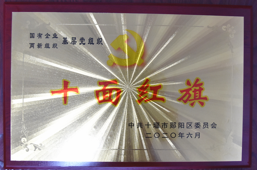 基(ji)層黨組(zu)織“十面(mian)紅旗”2020