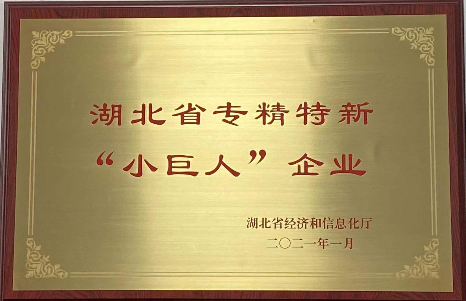 湖(hu)北省專(zhuan)精特新(xin)小巨人(ren)