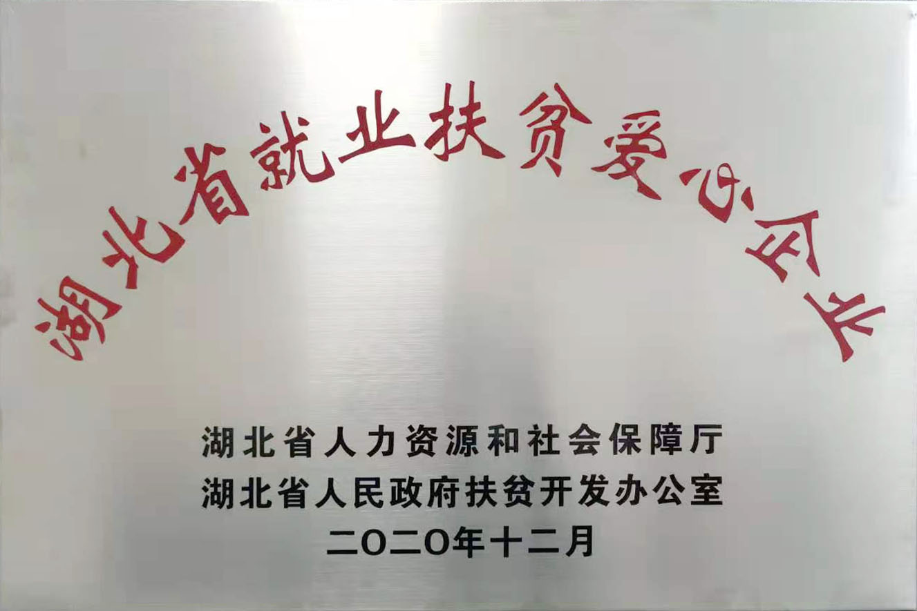 湖(hu)北省就(jiu)業扶貧(pin)愛心企(qi)業2020