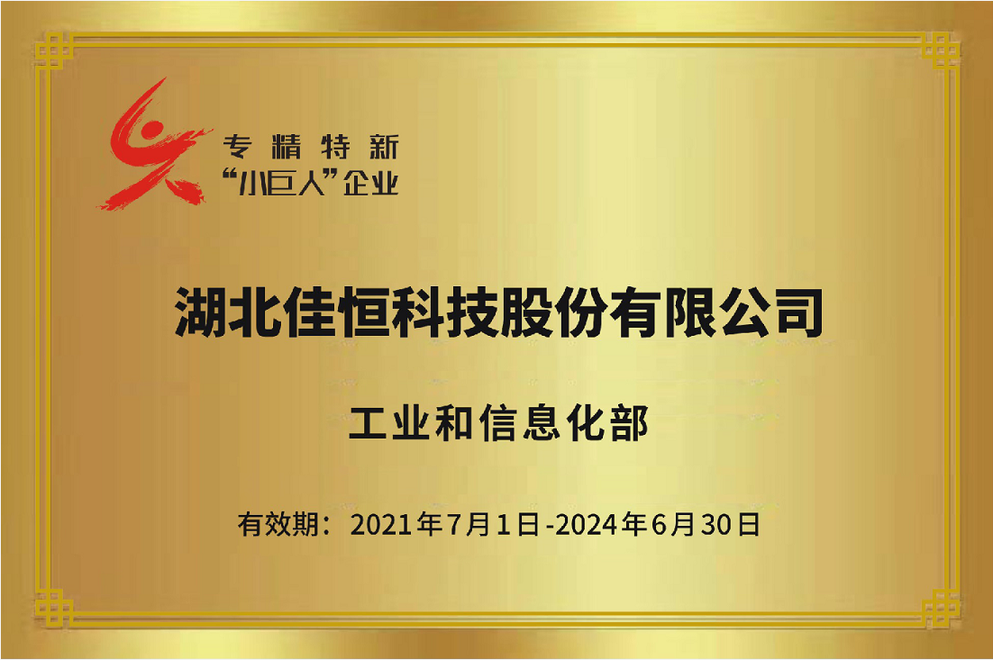 國(guo)家級專(zhuan)精特新(xin)小巨人(ren)2021