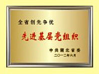 先(xian)進基層黨(dang)組織