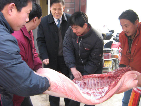 慰問(wen)茶店(dian)福利(li)院老(lao)人